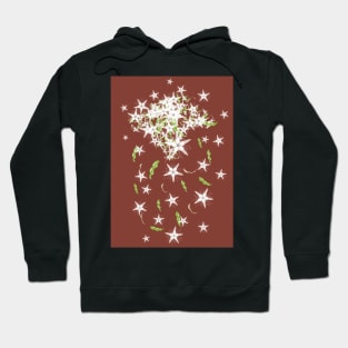 Syzygium anisatum - Flowers and Leaves of the Australian Aniseed Myrtle Tree Hoodie